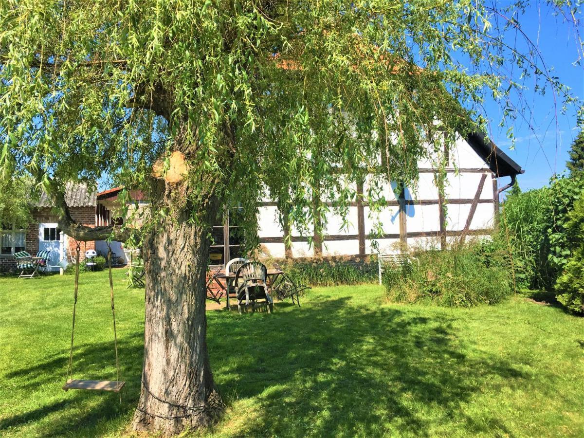 Fischerhaus Godewind 60 Qm Altwarp Eksteriør bilde